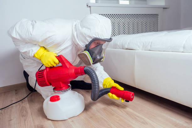 Best Fumigation Services  in Energy, IL